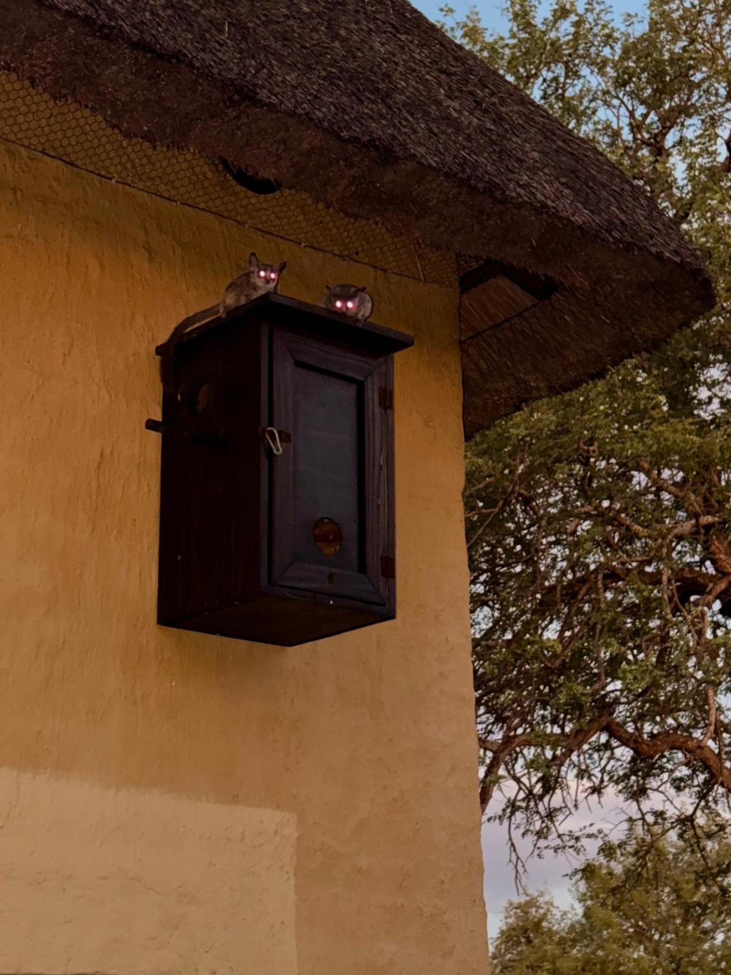 The Bush Hut Villa โฮดสปรูท ภายนอก รูปภาพ